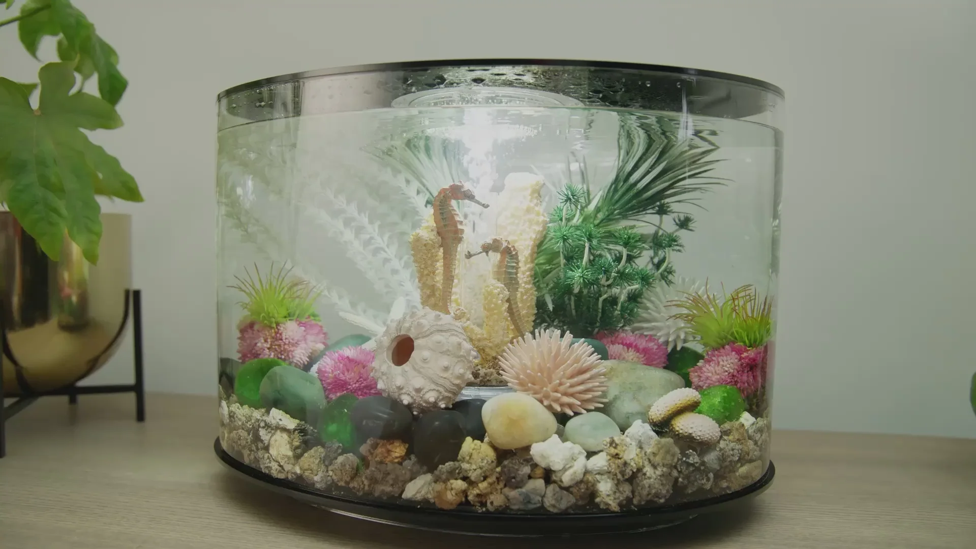 Elevate Your Home Naturally